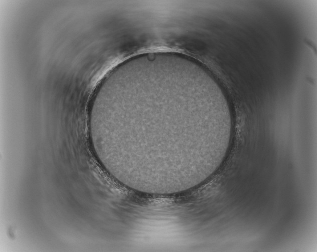 X0000103901173200810171607