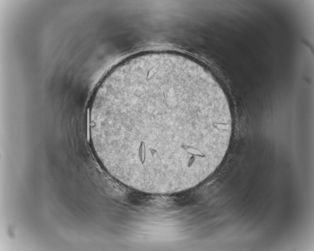 X0000103901175200810171607