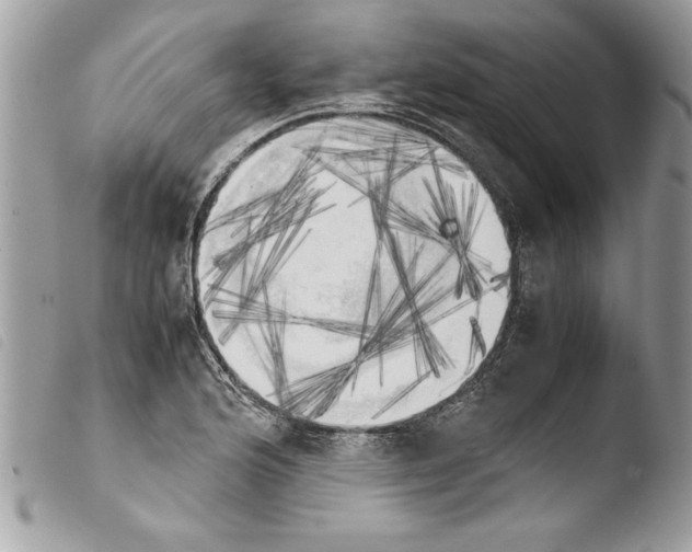 X0000103901176200810171607