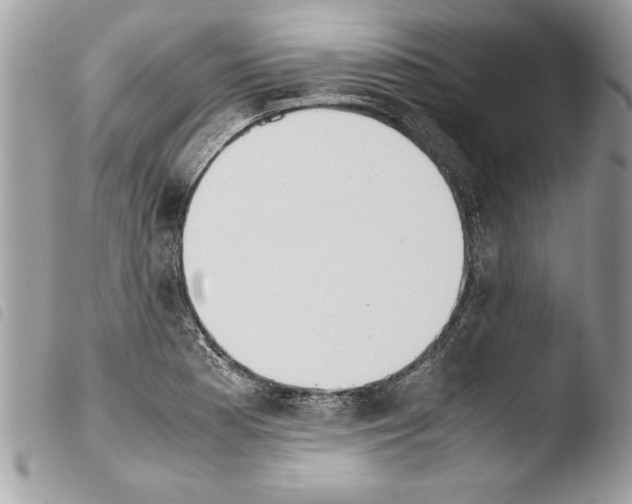 X0000103901177200810171607