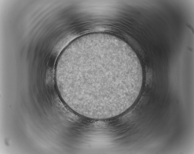 X0000103901178200810171607