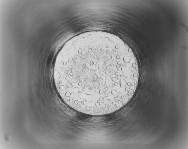 X0000103901179200810171607