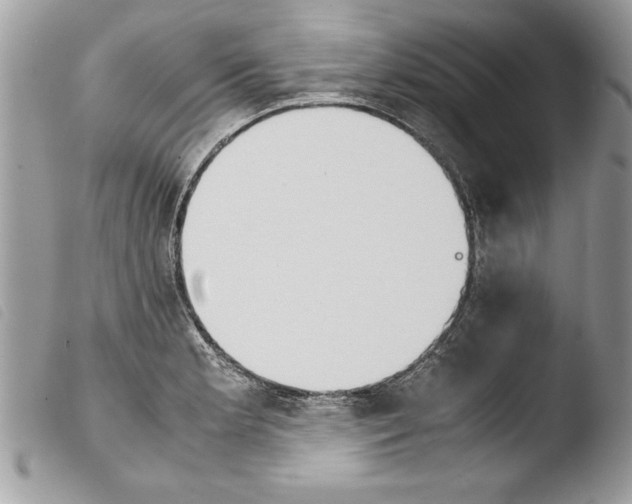 X0000103901181200810171607