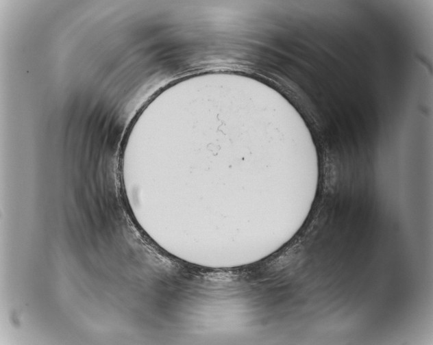 X0000103901182200810171607