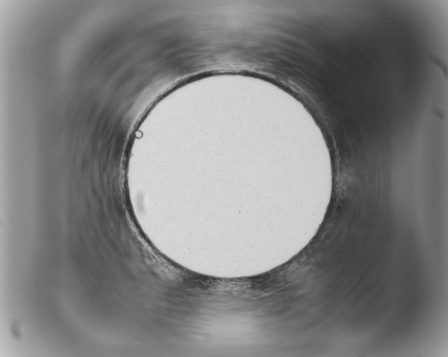 X0000103901183200810171606