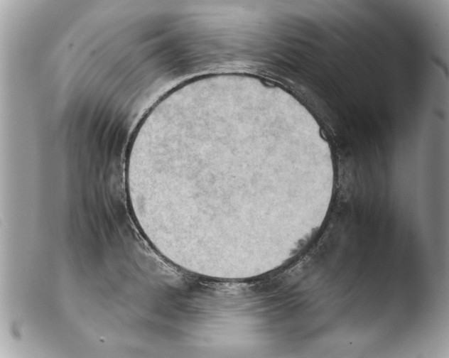 X0000103901184200810171606