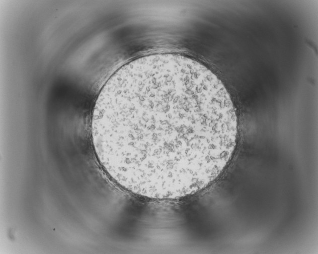 X0000103901185200810171606