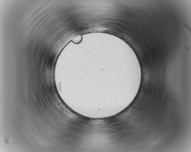 X0000103901186200810171606