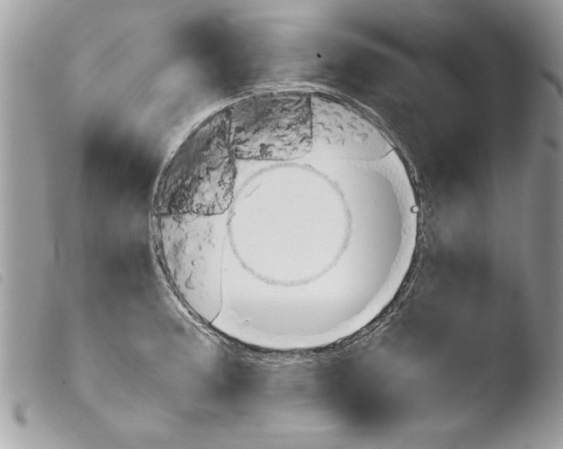 X0000103901187200810171606