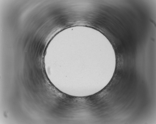 X0000103901190200810171606