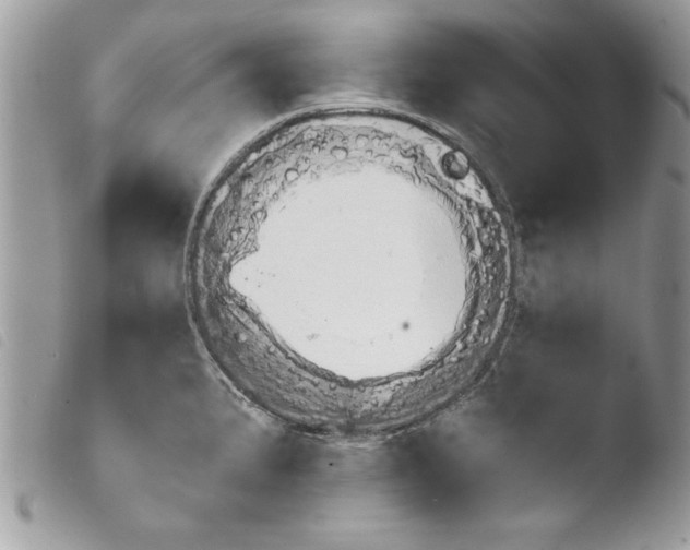 X0000103901191200810171606