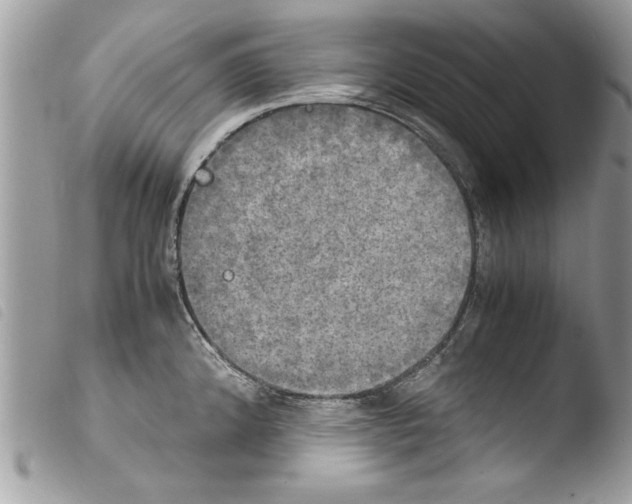 X0000103901192200810171606