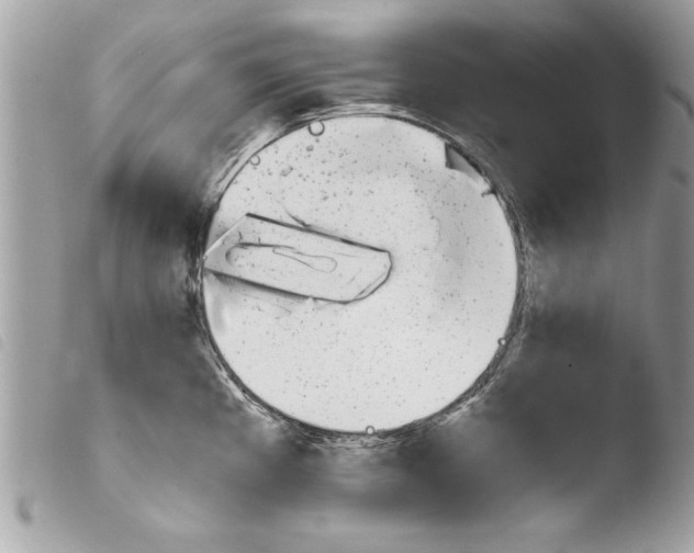 X0000103901193200810171606