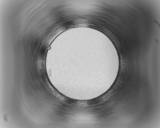 X0000103901194200810171606