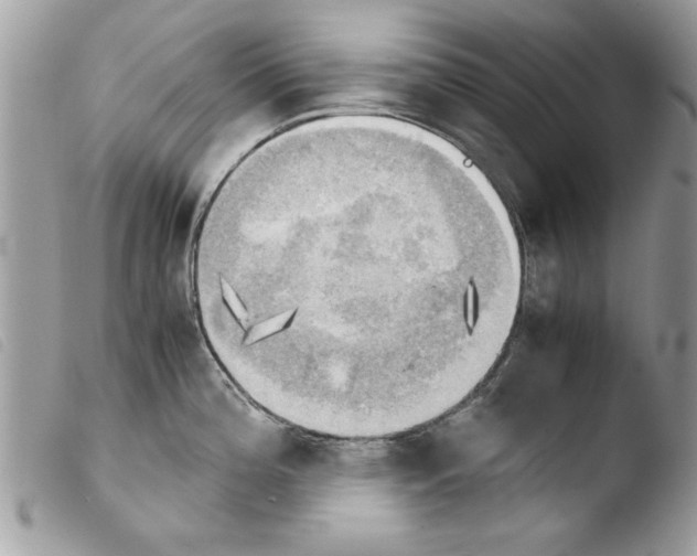 X0000103901196200810171606