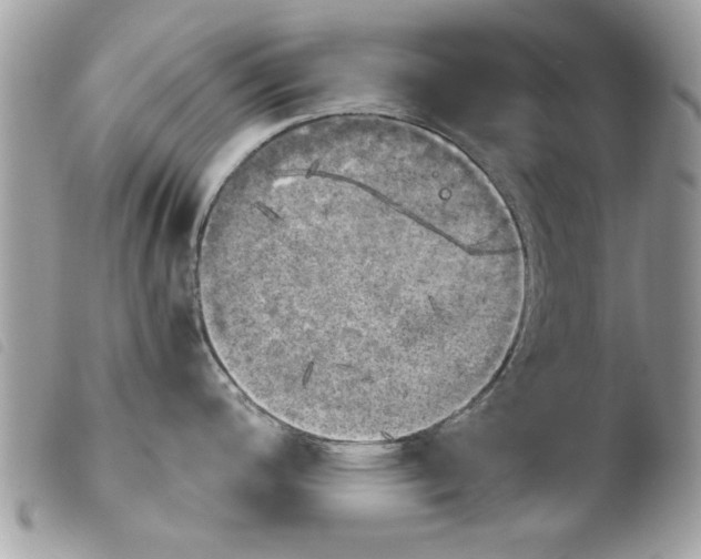 X0000103901200200810171606