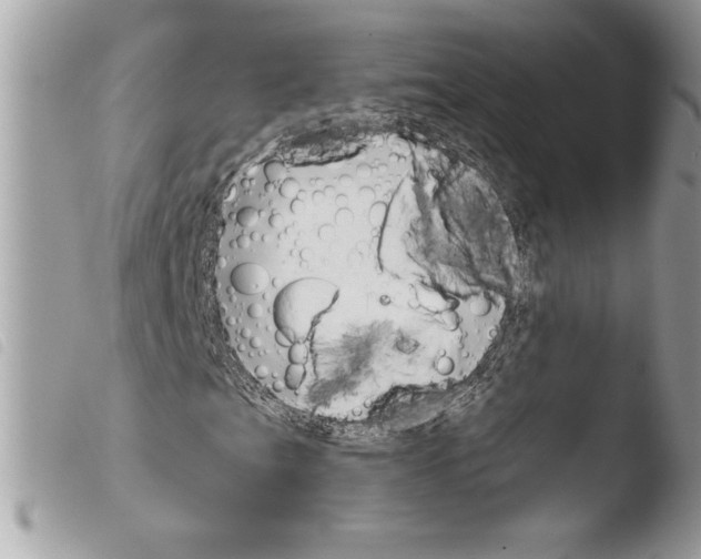 X0000103901201200810171606