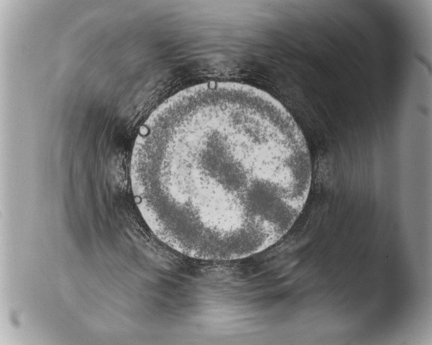 X0000103901202200810171606