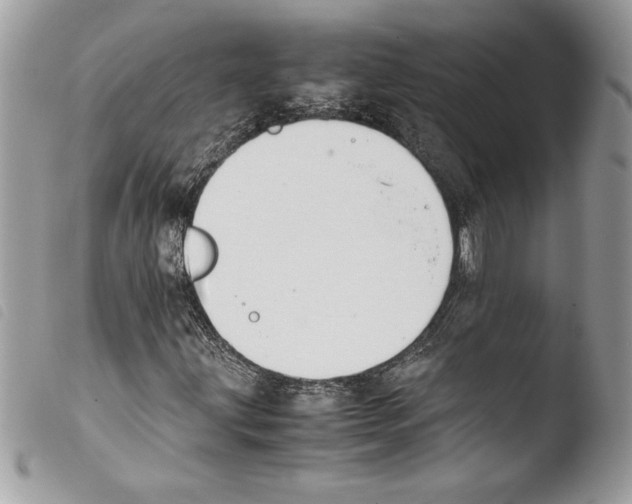 X0000103901203200810171606