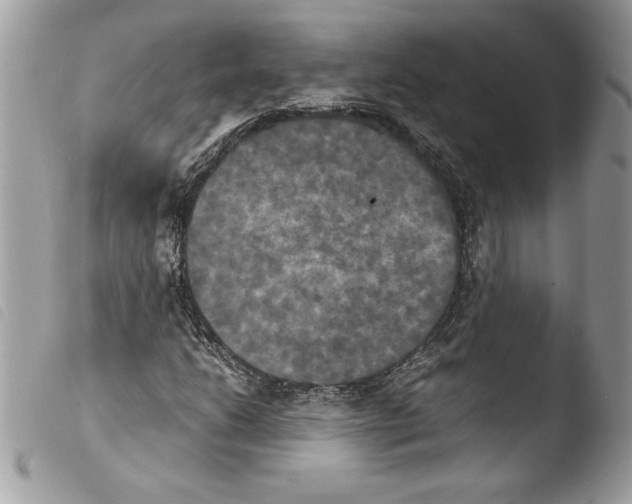 X0000103901206200810171606