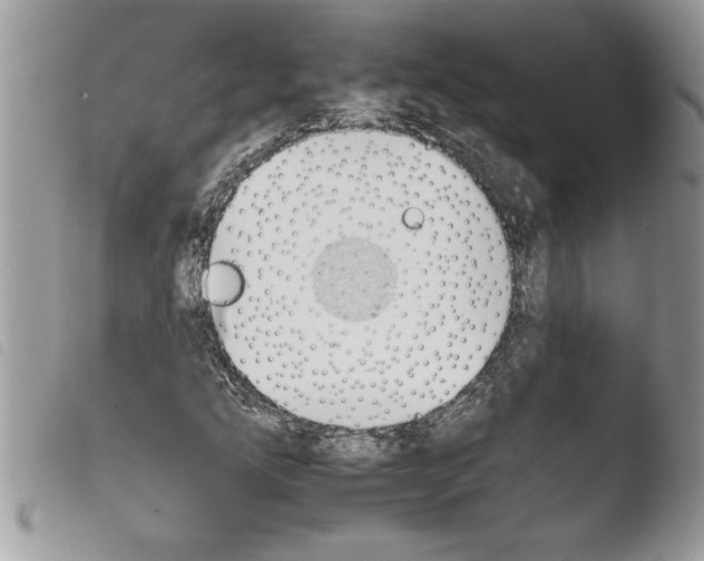 X0000103901207200810171606