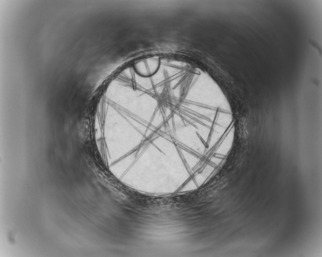 X0000103901208200810171606