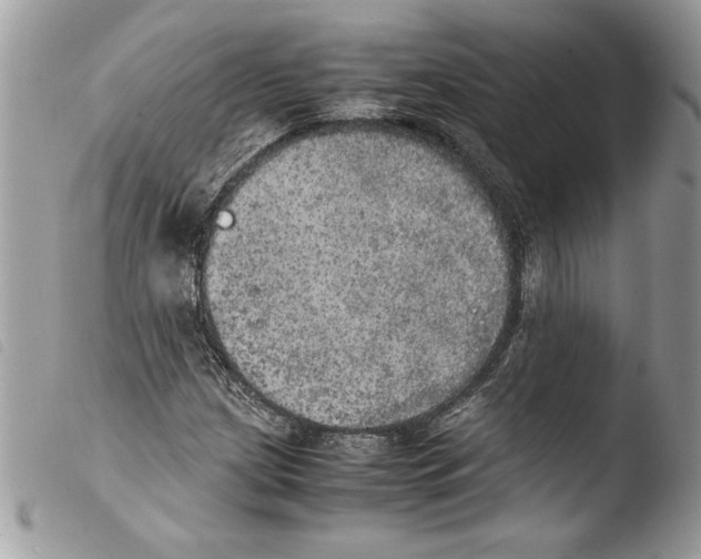 X0000103901209200810171606