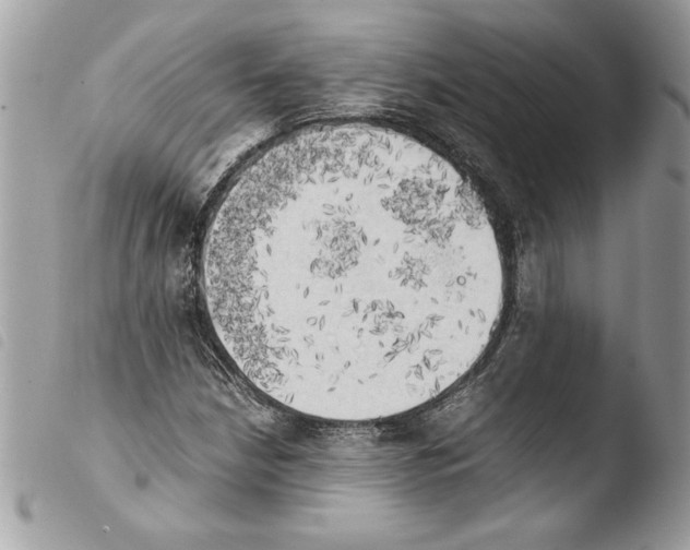 X0000103901210200810171606