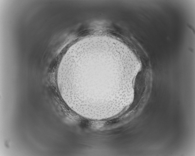 X0000103901211200810171606