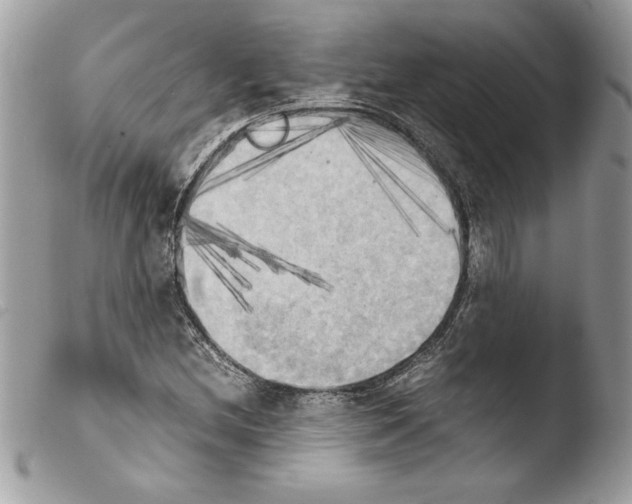 X0000103901212200810171606