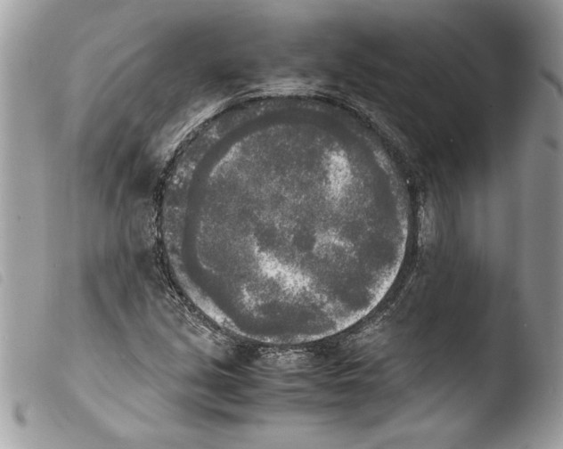 X0000103901213200810171606