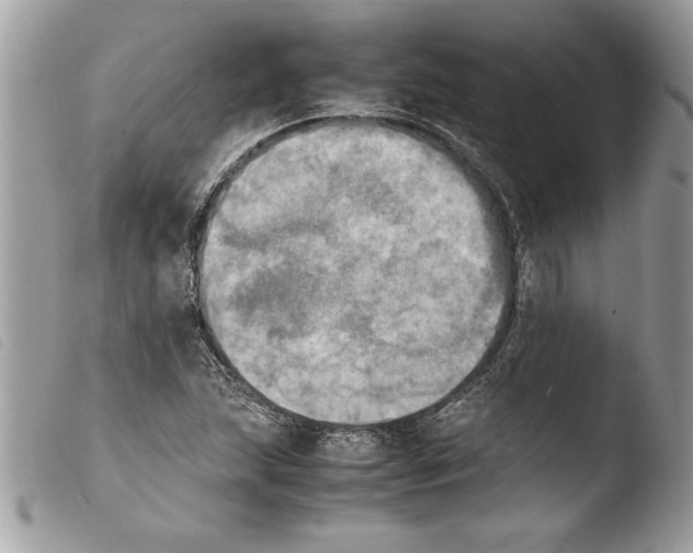 X0000103901215200810171606