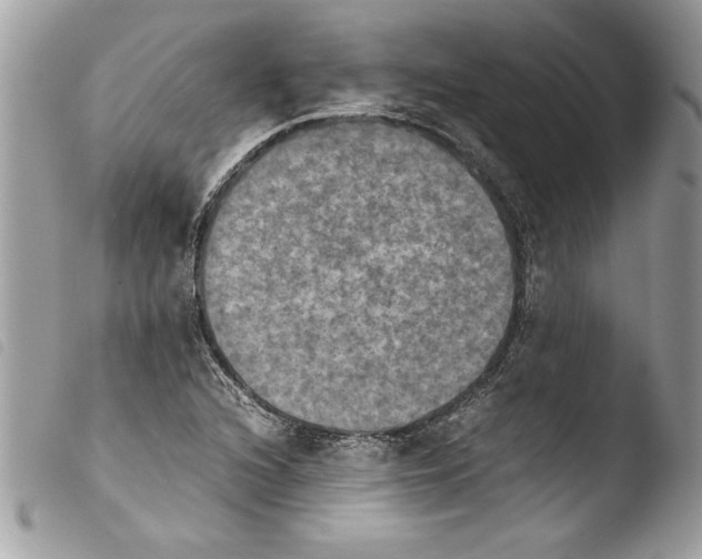 X0000103901216200810171606