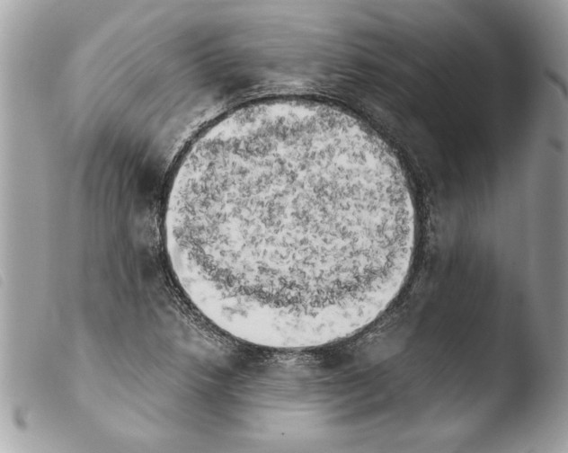 X0000103901218200810171606