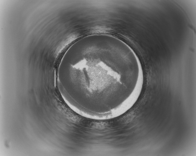 X0000103901219200810171606