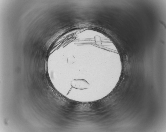 X0000103901221200810171606