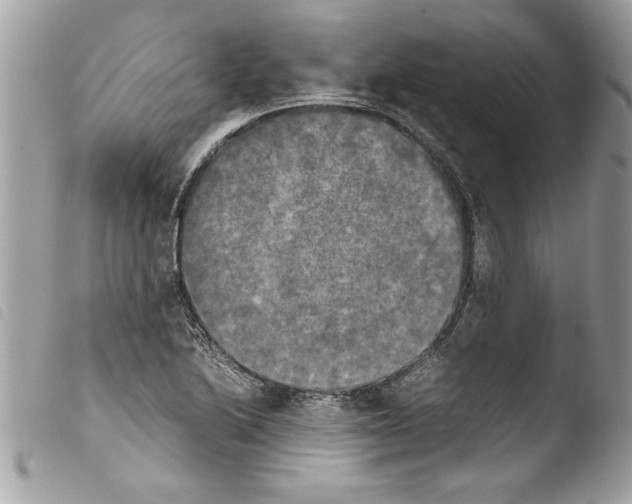 X0000103901222200810171606