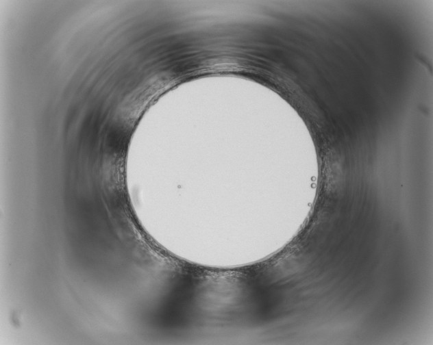 X0000103901225200810171606