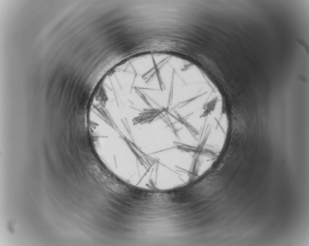 X0000103901226200810171606