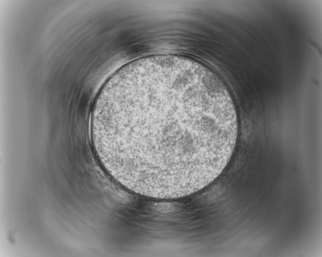 X0000103901227200810171606