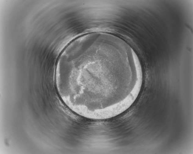 X0000103901228200810171606