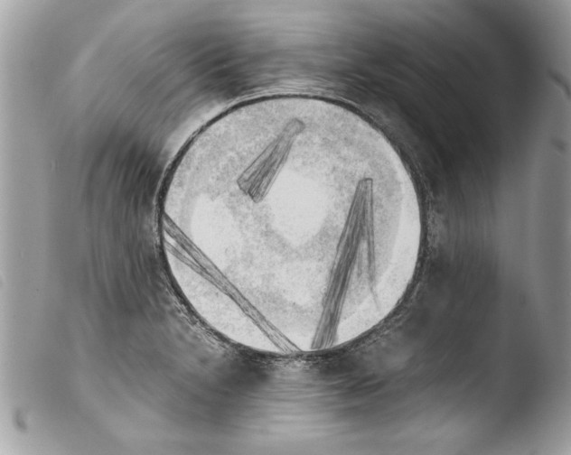 X0000103901230200810171606