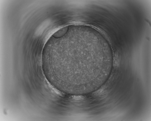 X0000103901231200810171606