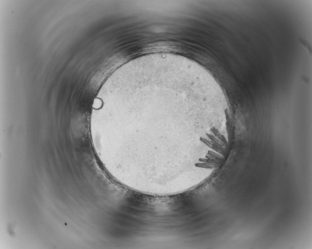 X0000103901233200810171606