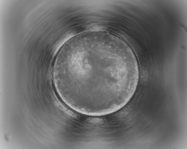 X0000103901235200810171606