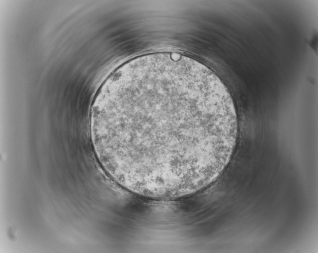 X0000103901236200810171606