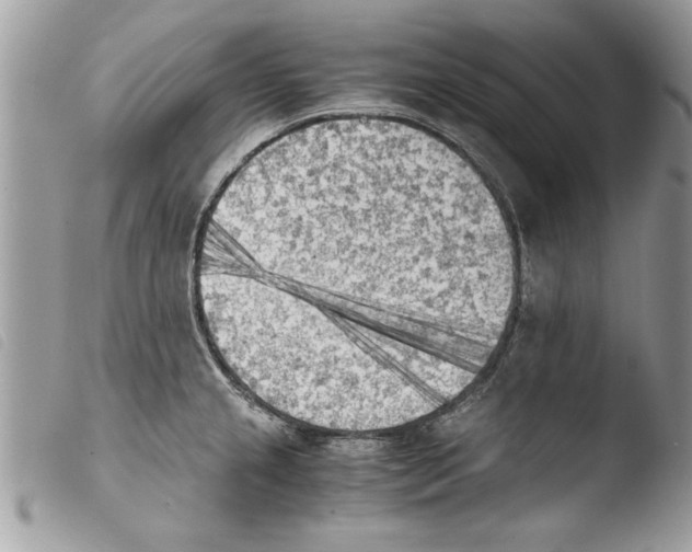 X0000103901237200810171606