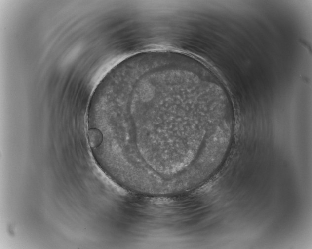 X0000103901239200810171606