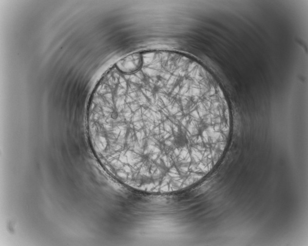 X0000103901240200810171606