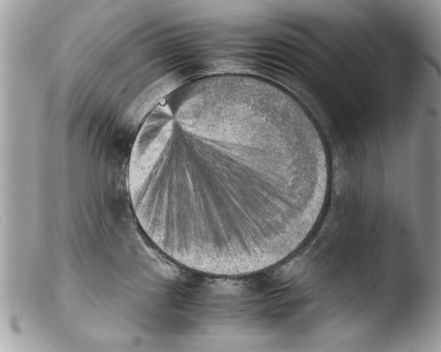 X0000103901241200810171606